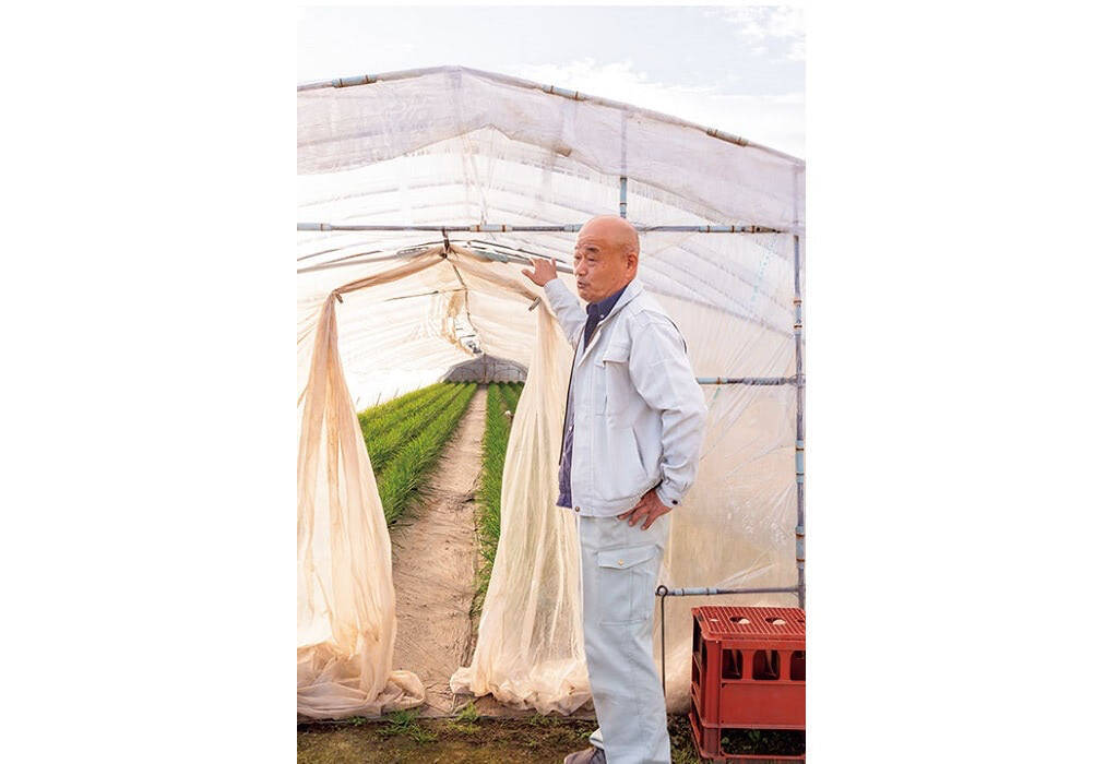 【田園日記～農と人の物語～ Vol.27】冬から春にかけ、幅広で肉厚になる「鹿沼にら」