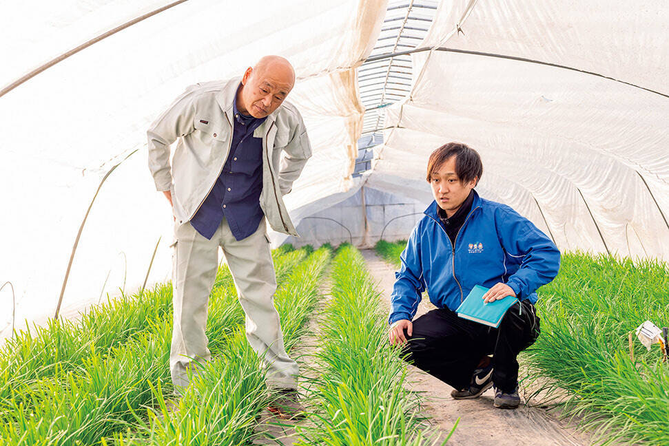 【田園日記～農と人の物語～ Vol.27】冬から春にかけ、幅広で肉厚になる「鹿沼にら」