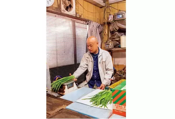 「【田園日記～農と人の物語～ Vol.27】冬から春にかけ、幅広で肉厚になる「鹿沼にら」」の画像