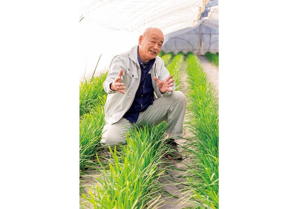 【田園日記～農と人の物語～ Vol.27】冬から春にかけ、幅広で肉厚になる「鹿沼にら」