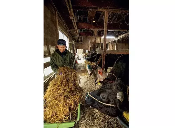 「【田園日記～農と人の物語～ Vol.29】故郷に帰って夫婦で歩む ‟牛飼い”の道」の画像