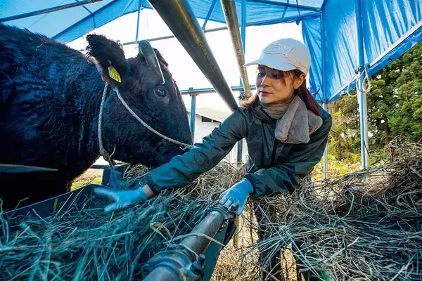 「【田園日記～農と人の物語～ Vol.29】故郷に帰って夫婦で歩む ‟牛飼い”の道」の画像