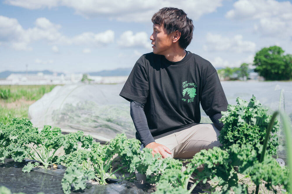 【こんなおいしい野菜があるの!?】生食用ケールのサンドイッチが驚異のシャキ旨だった！苦みレスで子ども爆食♪