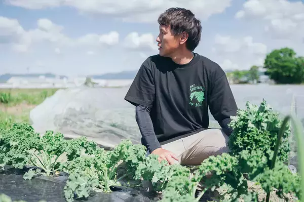 「【こんなおいしい野菜があるの!?】生食用ケールのサンドイッチが驚異のシャキ旨だった！苦みレスで子ども爆食♪」の画像