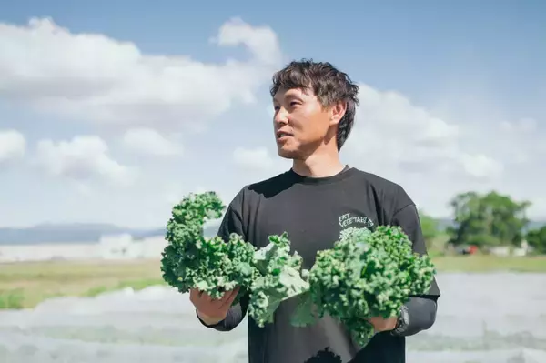 「【こんなおいしい野菜があるの!?】生食用ケールのサンドイッチが驚異のシャキ旨だった！苦みレスで子ども爆食♪」の画像