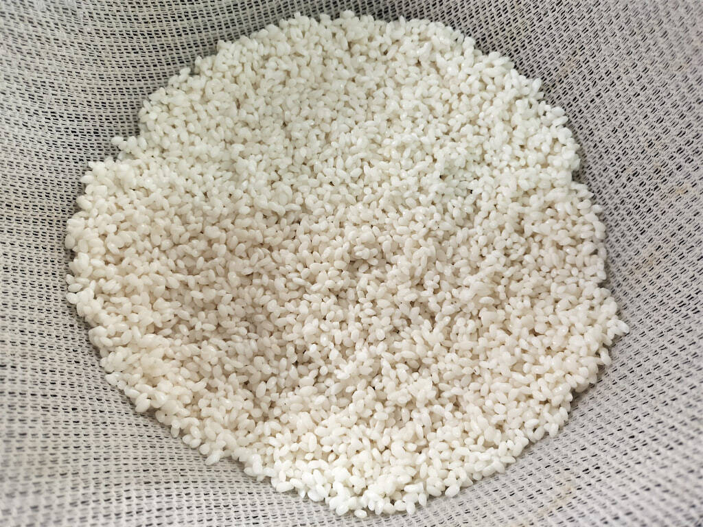 【絶品！郷土メシ】茶色い赤飯とはこれいかに!?長岡名物「醤油おこわ」作ってみた！金時豆でホクホクもちもち