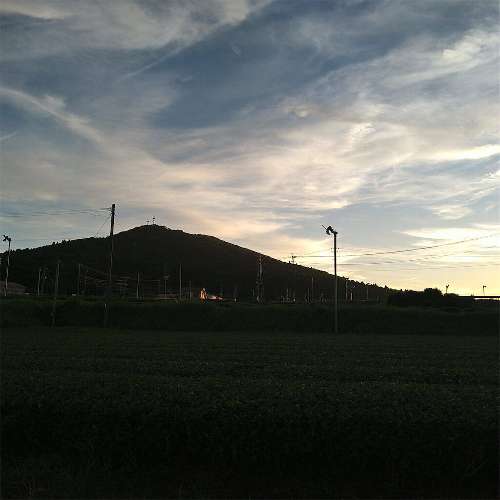 「肉まん」がフライパンで作れるって♪米粉でもっちもちな仕上がり！ジューシーさコンビニ超え!?【農家直伝】