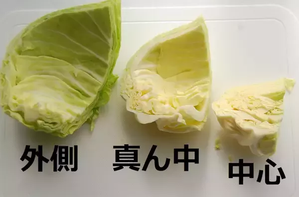 「水っぽくならない！味が馴染んで美味～♡昔ながらの「コールスローサラダ」にトライ！」の画像