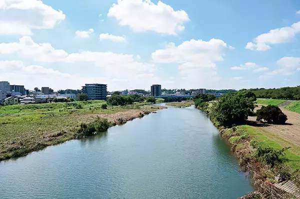 「【田園日記～農と人の物語～ Vol.21】江戸時代から名高い、地元食材を生かした「サツマイモ料理」」の画像