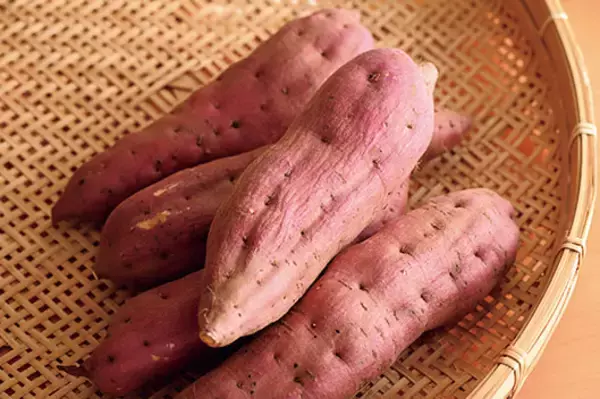 「【田園日記～農と人の物語～ Vol.21】江戸時代から名高い、地元食材を生かした「サツマイモ料理」」の画像