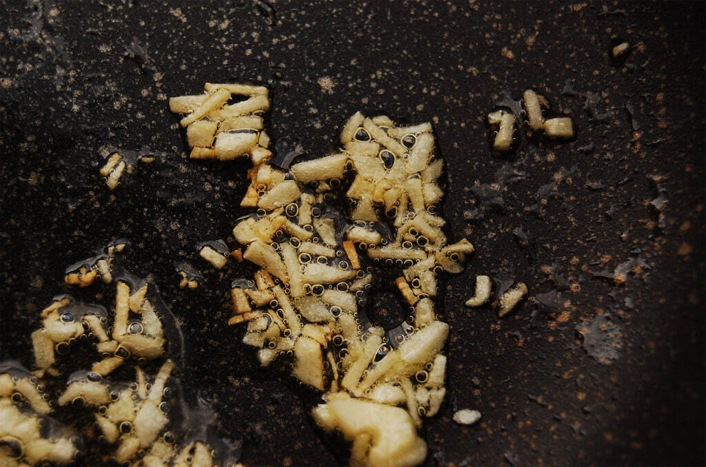 【3分でトマトソース完成】パックご飯と缶詰で「安らぎドリア」作ってみた！栄養素でストレス解消だって!?