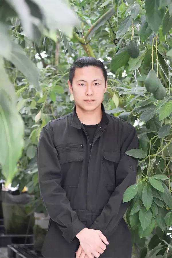 「【果物クイズ】アボカドのおいしい切り方は「さいの目」「くし形切り」「半月（横に）」のどれ？【農家が回答】」の画像