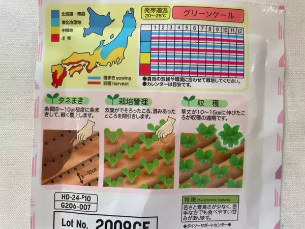 「【ダイソー】こちらカフェのTO GOカップじゃありません！ハンディサイズのプランターで家庭菜園に挑戦！」の画像
