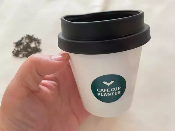 「【ダイソー】こちらカフェのTO GOカップじゃありません！ハンディサイズのプランターで家庭菜園に挑戦！」の画像