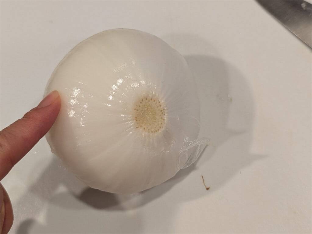 【ひとり1個ペロリ】な「丸ごと玉ねぎポトフ」作ろう！玉ねぎトロットロ～♡材料切ったら鍋任せでOK!?