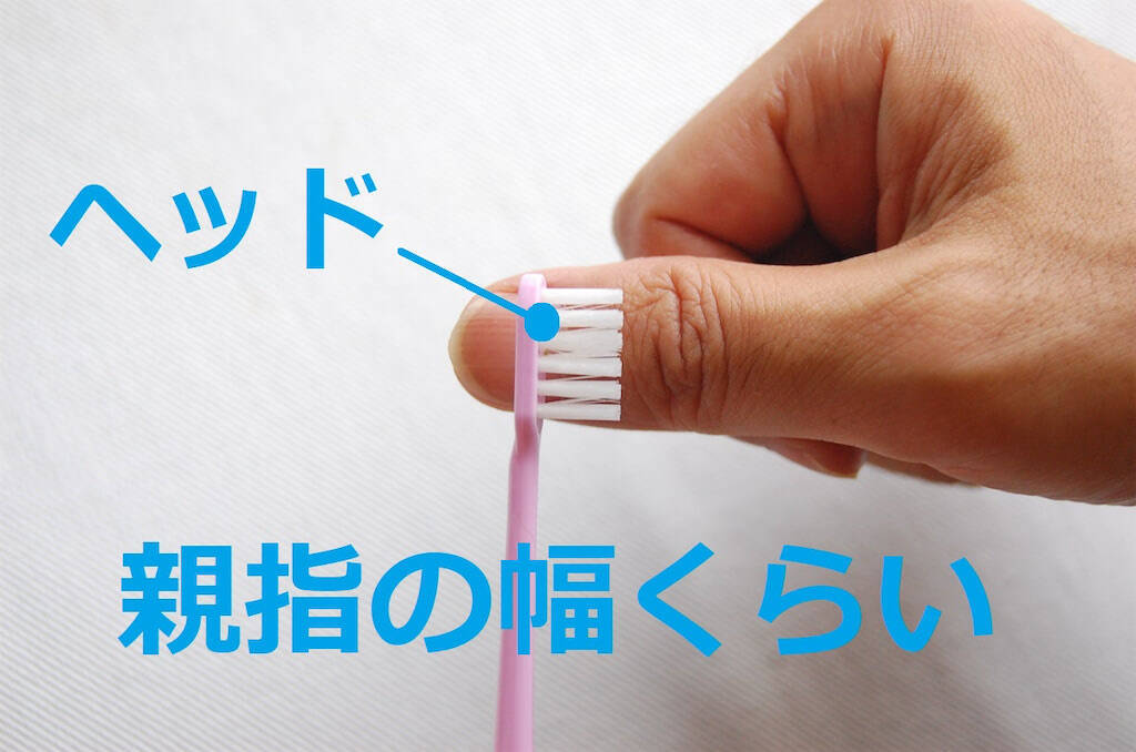 【新説・歯ブラシ交換】「毛先が広がったら…」はもう古い⁉歯ブラシ交換の正しい時期と選び方をチェックしてみた♪