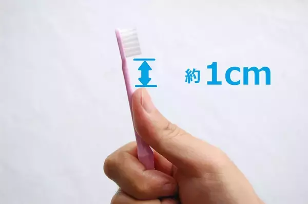 「【新説・歯ブラシ交換】「毛先が広がったら…」はもう古い⁉歯ブラシ交換の正しい時期と選び方をチェックしてみた♪」の画像