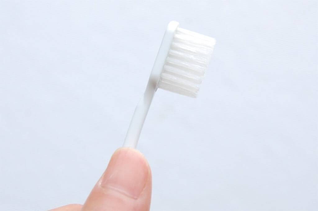 【新説・歯ブラシ交換】「毛先が広がったら…」はもう古い⁉歯ブラシ交換の正しい時期と選び方をチェックしてみた♪