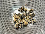 「【絶品！郷土メシ】出雲の激レア料理「のりふで」作ってみた！岩のりとべべ貝が旨さのカギ！…べべ貝ってなに？」の画像6