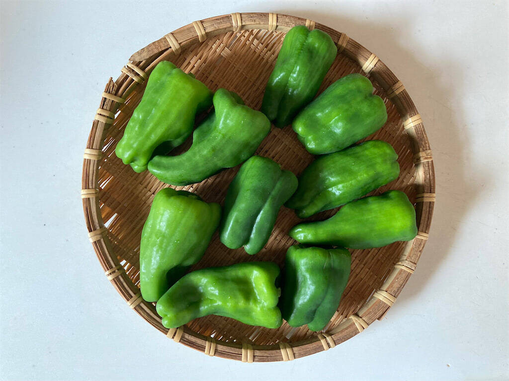【ピーマン大量消費】口の中でトロンと消える♡「丸ごと煮びたし」作ろう！種やワタ、ヘタまで旨っ【包丁いらず】