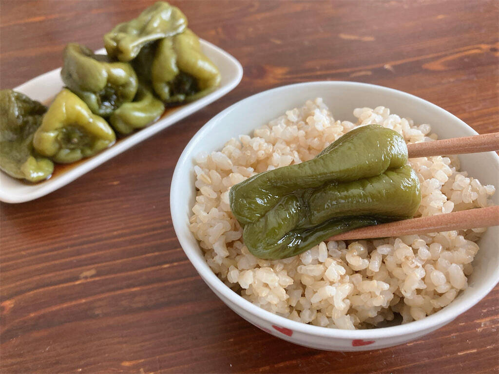【ピーマン大量消費】口の中でトロンと消える♡「丸ごと煮びたし」作ろう！種やワタ、ヘタまで旨っ【包丁いらず】