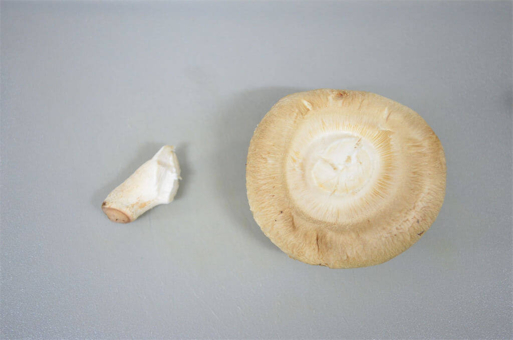 【秋はしいたけでしょ！】肉汁と旨味のハーモニー♡「農家直伝しいたけの肉詰め」は豆腐でジューシーレベルMAX