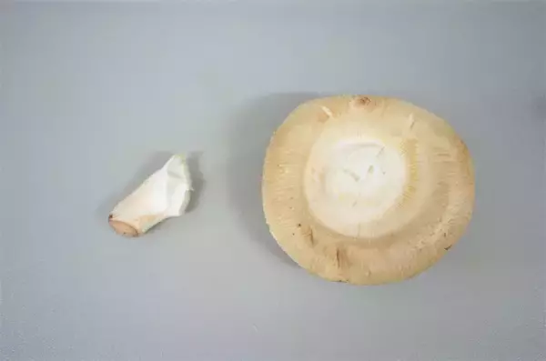 「【秋はしいたけでしょ！】肉汁と旨味のハーモニー♡「農家直伝しいたけの肉詰め」は豆腐でジューシーレベルMAX」の画像