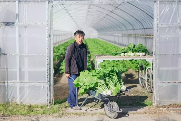 「【子どもがめっちゃ食べる】白カブ農家直伝「無限白カブ」が神レシピだった♪ベーコンマヨとの新マリアージュ」の画像