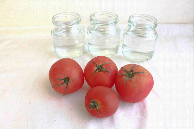 【調理の裏ワザ】黄金色にうっとり♡いろいろ使える「万能トマトだし」作ってみた！冷製スープや酢の物が絶品～♪