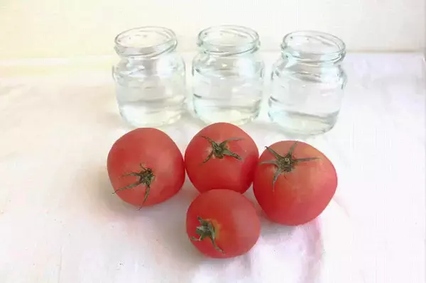 「【調理の裏ワザ】黄金色にうっとり♡いろいろ使える「万能トマトだし」作ってみた！冷製スープや酢の物が絶品～♪」の画像