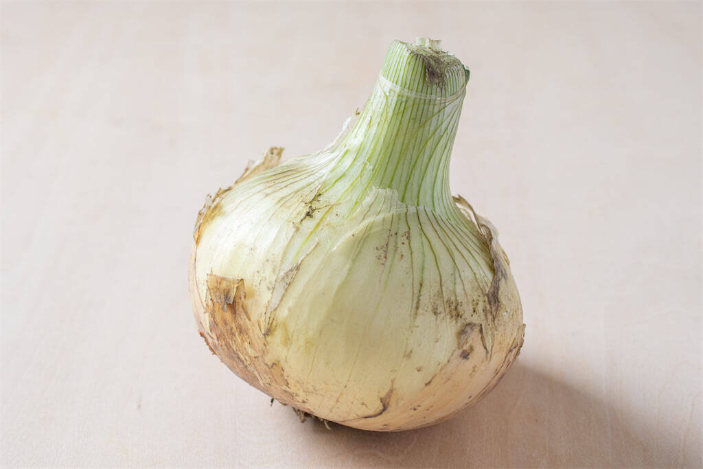 【野菜クイズ】「春の味覚！新玉ねぎを保存するなら…常温or冷蔵？」え、そっちが正解なの!?【青髪のテツ】