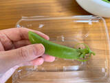 「【スナップエンドウの新常識】茹でずに焼くが正解!?「塩ガーリック」で味付けしてみたら…無限おかず爆誕!!」の画像6