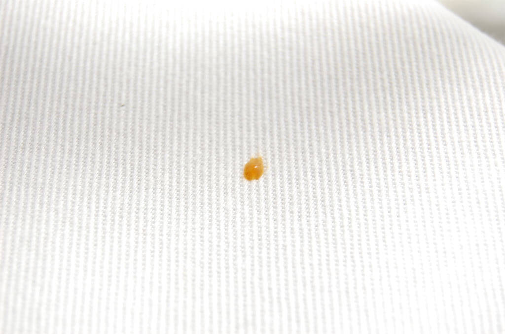 「レトルトパウチ」を鮮やかに手で開封する裏ワザを試してみた！カレーで手を汚さずに封を開けたか⁉