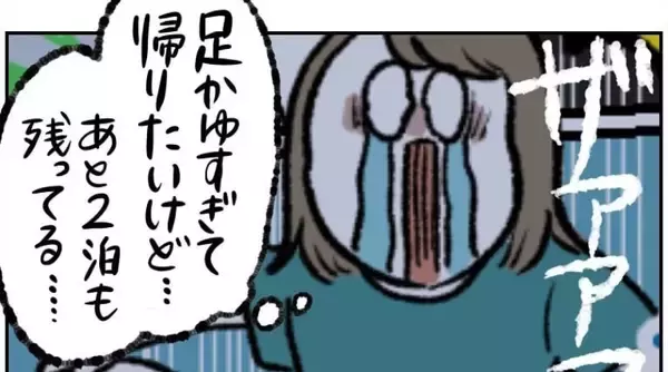 【ヤバい虫の悪夢⑦】激痒×騒音×不眠の最悪ビンゴ完成！限界突破した精神が至った境地とは？【momo漫画】