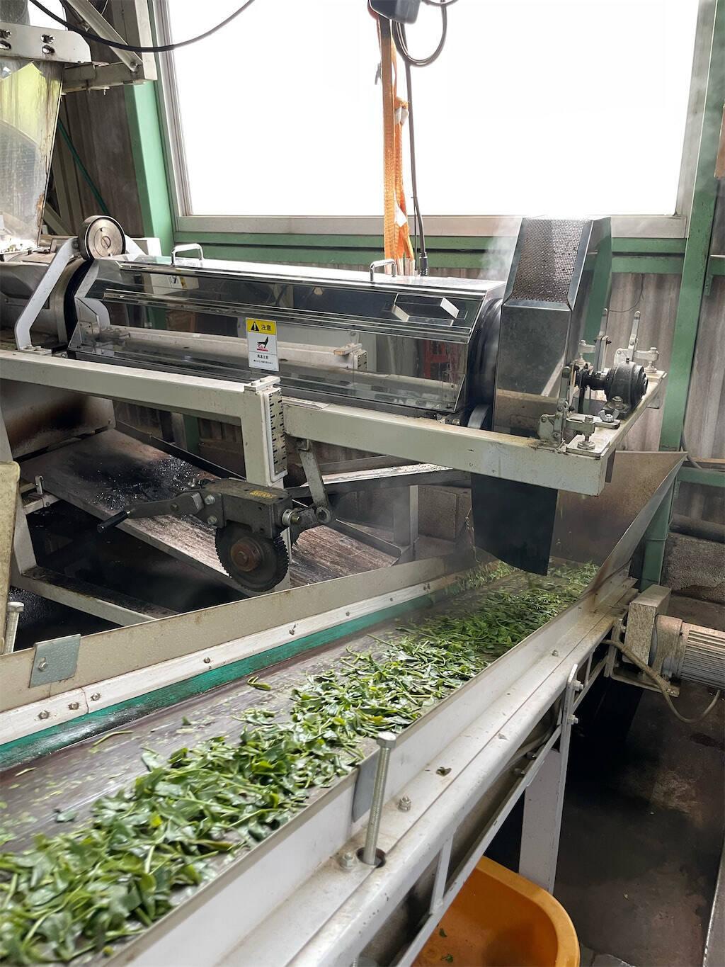 お茶は熱湯NG！農家直伝【お茶のおいしい淹れ方】その淹れ方では旨味半減!? 決め手は温度＆抽出時間！