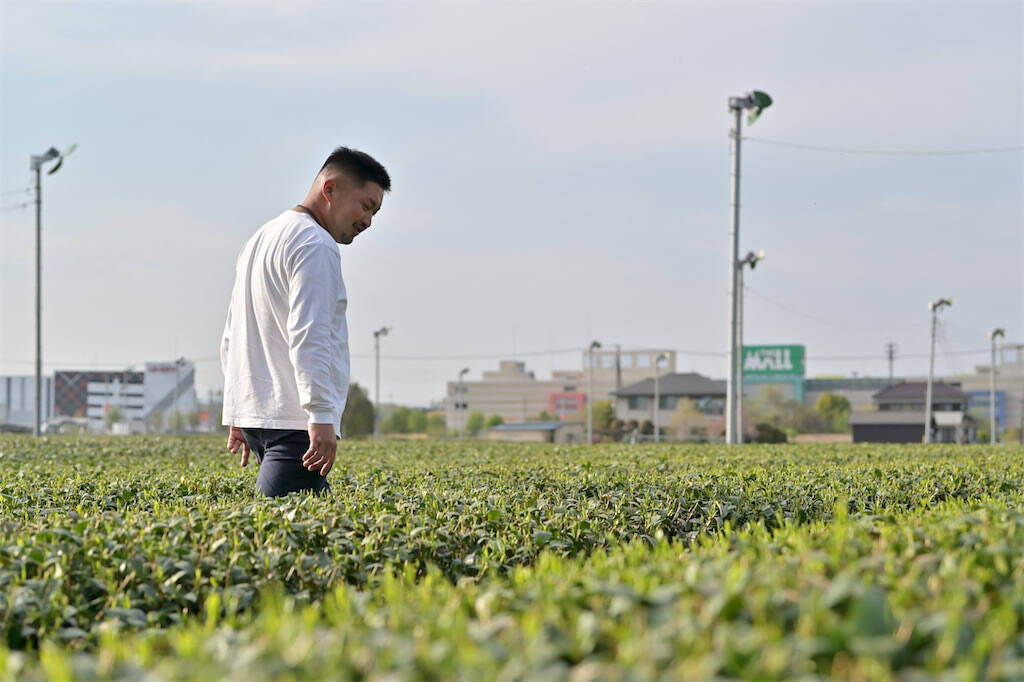 お茶は熱湯NG！農家直伝【お茶のおいしい淹れ方】その淹れ方では旨味半減!? 決め手は温度＆抽出時間！