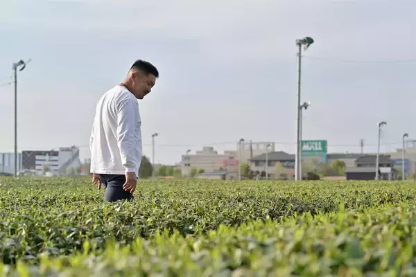 「お茶は熱湯NG！農家直伝【お茶のおいしい淹れ方】その淹れ方では旨味半減!? 決め手は温度＆抽出時間！」の画像