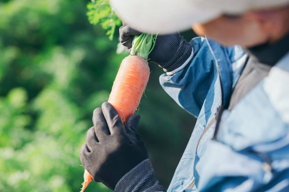 【まるで焼き芋!?】炊飯器一発！ニンジン農家直伝の「まるごとニンジンご飯」はねっとり甘くて子ども爆食♪