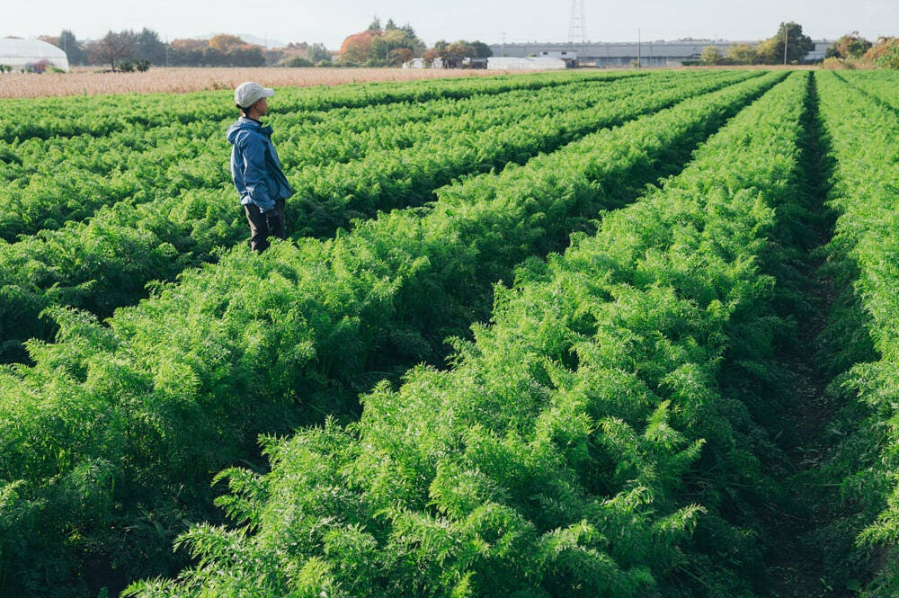 【まるで焼き芋!?】炊飯器一発！ニンジン農家直伝の「まるごとニンジンご飯」はねっとり甘くて子ども爆食♪