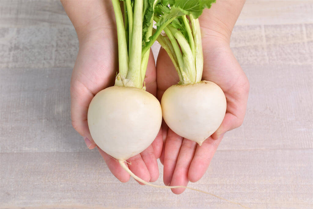 【かぶが極甘に】香ばしく焼き目をつけて！「かぶと豚ひき肉のあんかけ」がご飯泥棒すぎる～【青髪のテツ】