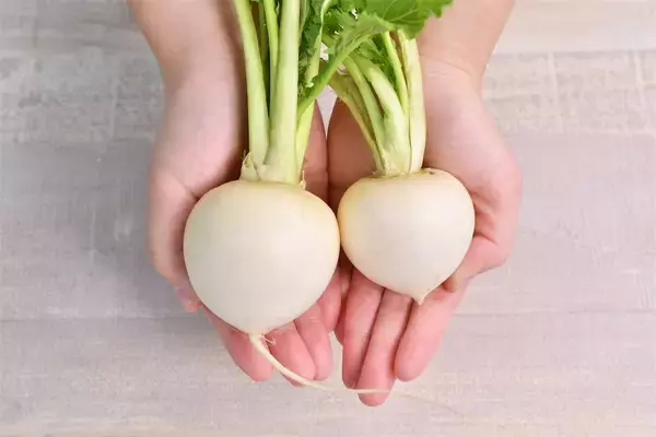 「【かぶが極甘に】香ばしく焼き目をつけて！「かぶと豚ひき肉のあんかけ」がご飯泥棒すぎる～【青髪のテツ】」の画像