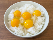 うずらの卵でTKGを試してみた！ふつうの卵より「濃厚な味わい」という噂は本当か⁉