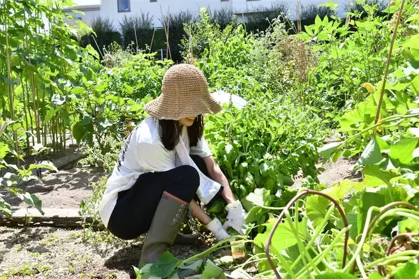 「【にちにち農ガール】楽しくて美味しい夏をありがとう！夏野菜の後始末＆最後の収穫祭♪そして秋野菜へ…」の画像
