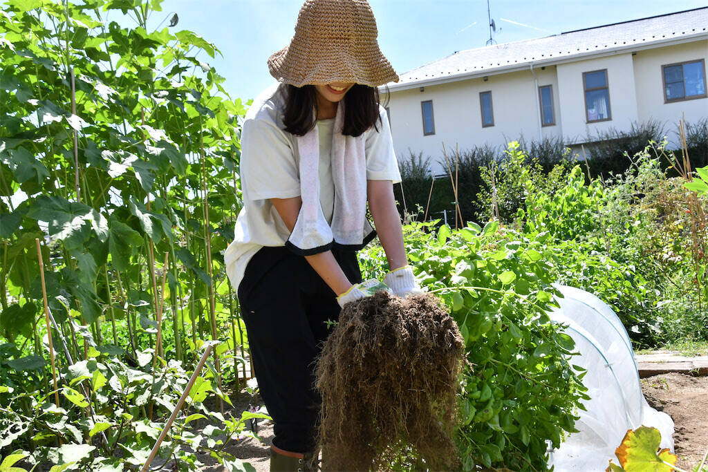 【にちにち農ガール】楽しくて美味しい夏をありがとう！夏野菜の後始末＆最後の収穫祭♪そして秋野菜へ…
