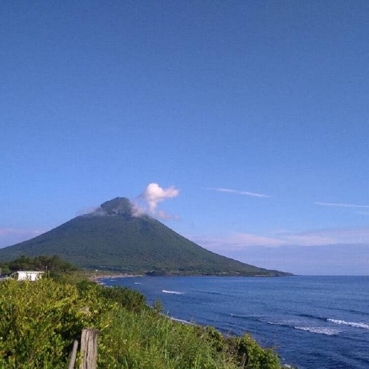 【寝かせるケーキ!?】ワンパンで「りんごケーキ＆チーズケーキ」作ろう！ホケミ生地も一晩で絶品♪【農家直伝】