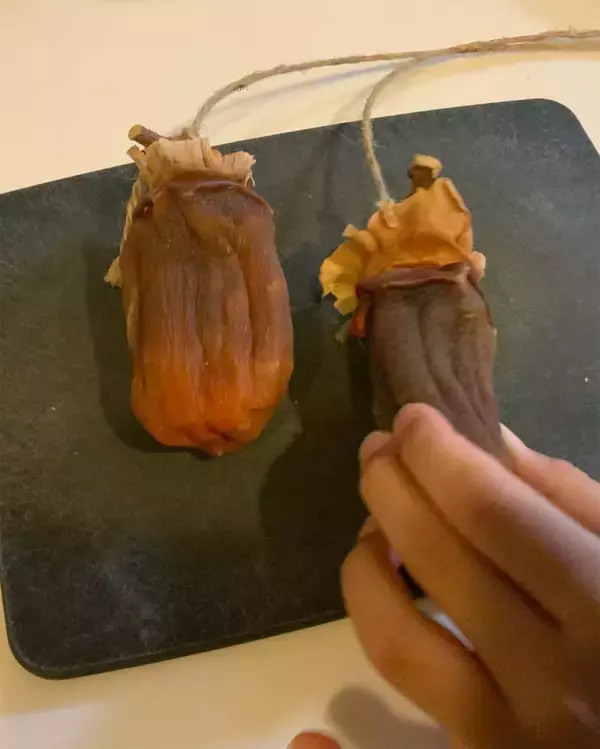 「【好きな人にはぶっ刺さる】自家製干し柿を●●●に合わせてみた！わが家の小学生も激ハマリ♪【Ayumiの漫画】」の画像