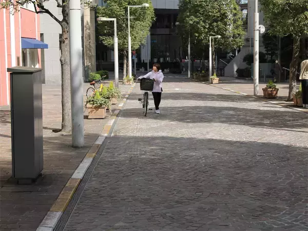 「急な坂道も“押し歩き専用スイッチ”でラクラク♪パナソニックの電動アシスト自転車「ViVi」を試し押ししてみた！」の画像