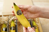 「【バナナ長持ち保存術】農家直伝！1房買ったらバナナスタンド…ではなく、1本1本にバラして常温保存!?」の画像13