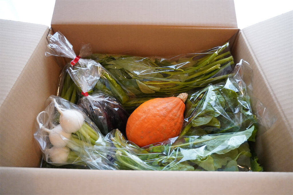 【産直サービス】野菜が届く…だけじゃない「農家の宅配便」頼んでみた！え、レシピ付き？収穫体験付き!?