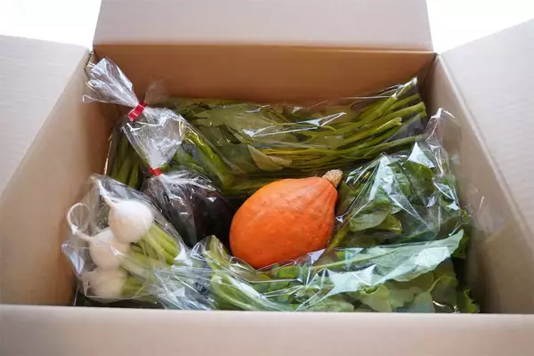「【産直サービス】野菜が届く…だけじゃない「農家の宅配便」頼んでみた！え、レシピ付き？収穫体験付き!?」の画像
